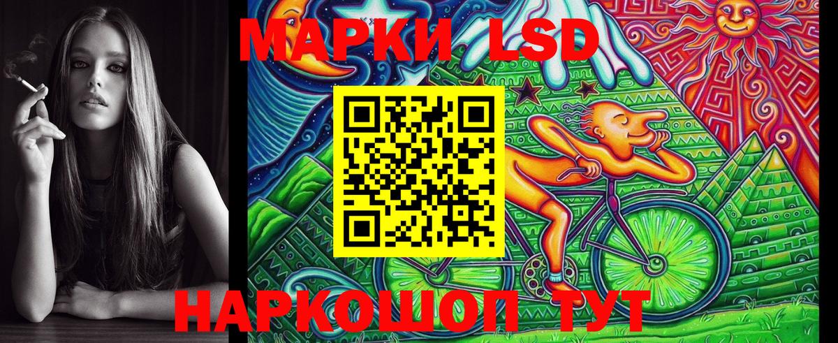 МЕФ Тверь