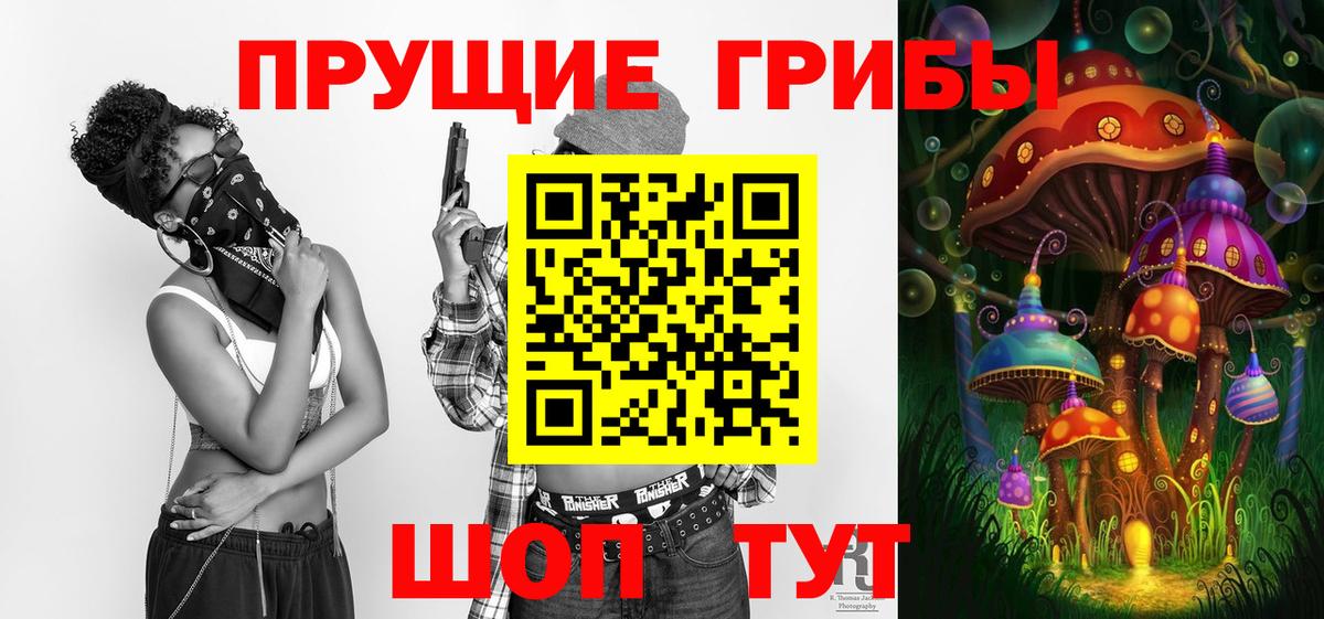 Псилоцибиновые грибы Psilocybine cubensis  где найти   Тверь  Псилоцибиновые грибы Psilocybine cubensis  Вход с VPN 